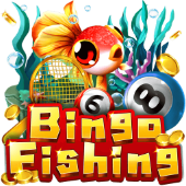 Bingo Fishing at jili333 login download