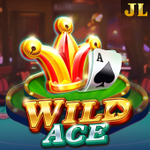 Wild Ace slot game at jili333 login download